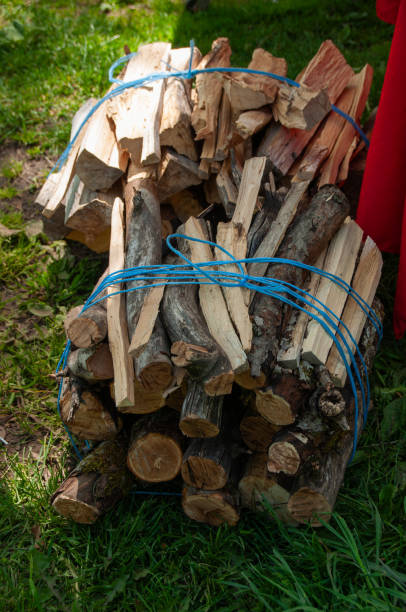 A pile of neatly stacked cut firewood pieces tied together with a rope, placed on a green grassy surface in an outdoor environment. Suggests rustic, outdoors, and warmth themes.