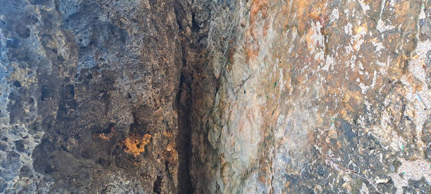 istock Texture Of Stone From The Seabed 2204629475