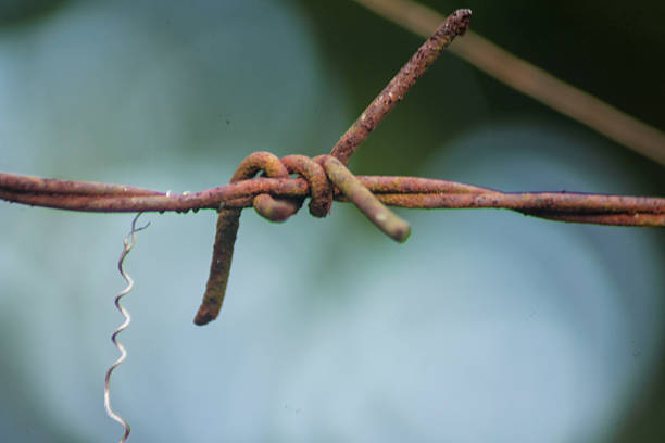 Close up of Barbed Wire wit a Blur Background