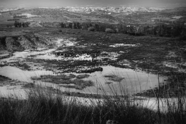 Landscape at the Loermecke tower near Meschede. Nature in the Sauerland.