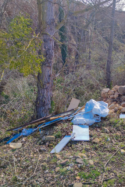 istock Sacks and furniture lying in nature 2204631786