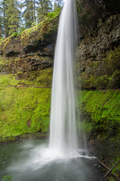 istock One of the several beautiful waterfalls at Silver Falls State Park on Oregon. 2204634644