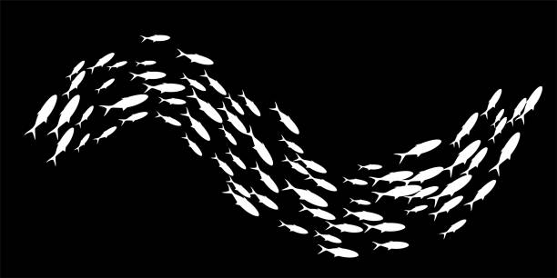 fish-group-swimming-school-of-