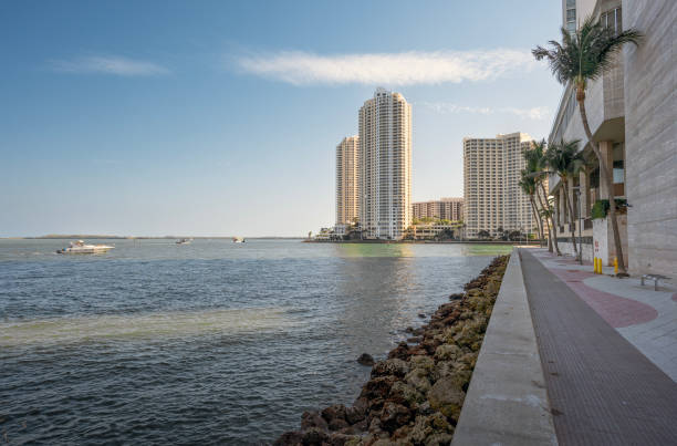 istock Apartment Buildings on the Miami Waterfront 2204639559