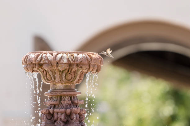 istock A hummingbird hovers over a rustic fountain, sipping water in flight 2204642164