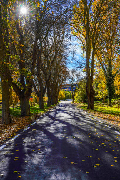 istock Mountain road in autumn days 2204642550