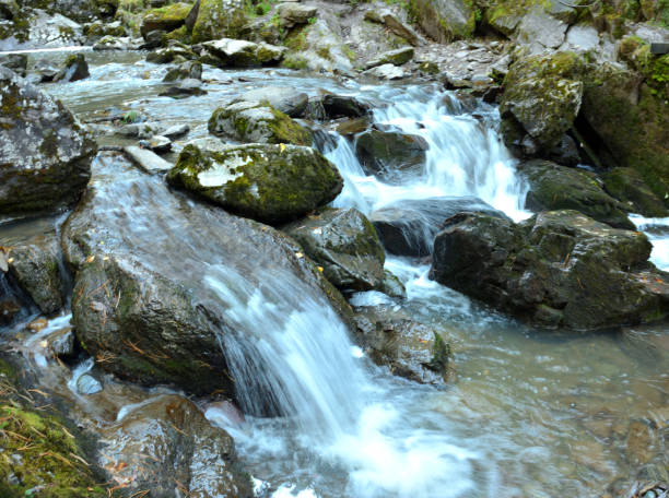 istock Large stones blocking the stream of a mountain creek form a cascade waterfall in a dense forest on a cloudy autumn morning. 2204643651