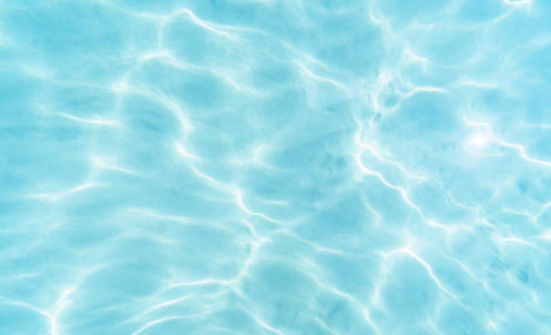 istock sand bottom of the sea texture 2204644043