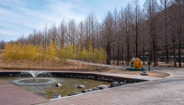 istock Metasequoia Road Park 2204644525