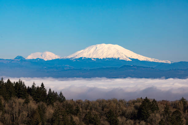 A view of Mt St Helens and Mt Rainier from Skyline Blvd in Portland, Oregon.