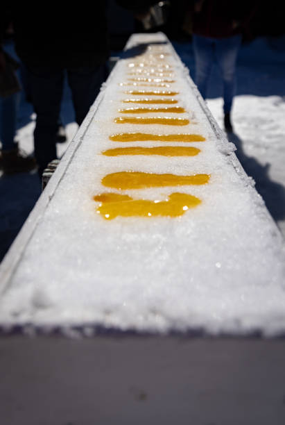 istock Sugar Shack Maple Syrup Poured on Snow 2204647079