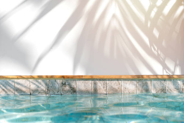istock Shadow of palm leaves with water surface and copy space, Summer background 2204651758