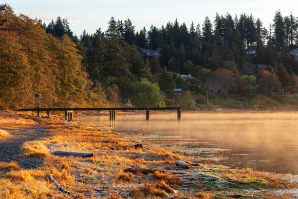 Lakeside view with mist and autumn trees in Comox
