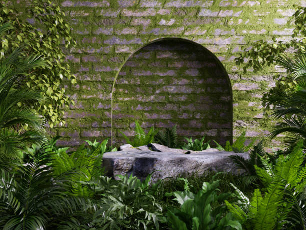 istock Rock podium in tropical forest for product presentation and wall moss background- 3D rendering 2204654038