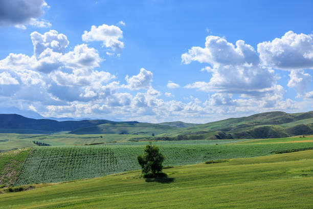 Outdoor natural background