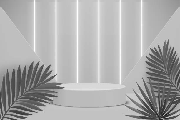 istock Grey room with podium and leaves. Eco friendly product showcase template. 3d vector background 2204655732