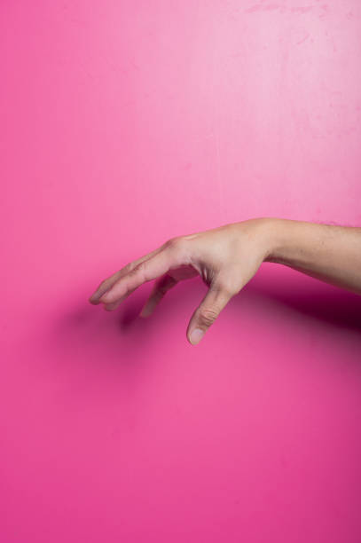 istock Asian hand forming a curved reaching gesture with fingers extended downward against a pink background, symbolizing touch, grab, or movement in a minimalist and expressive composition. 2204657123