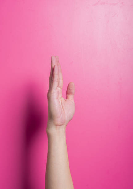 istock Asian hand shown from the side with fingers upright and straight, simulating a chopping motion or stop gesture, photographed against a clean pink background, often used for emphasis or authority. 2204657610