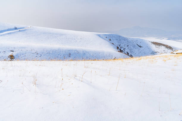 istock Snow-Covered Rolling Hills in Winter Landscape 2204658502
