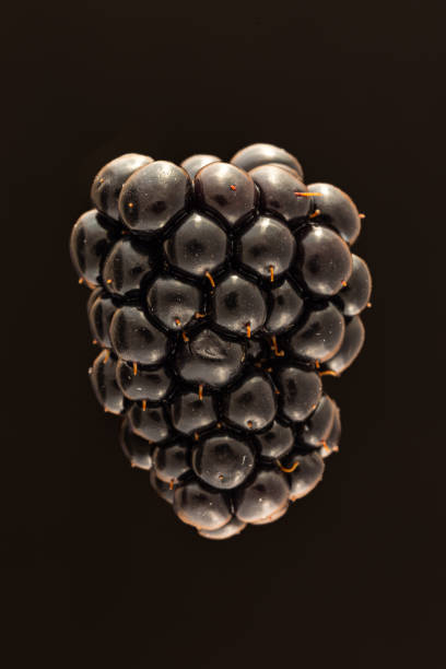 Extreme close-up of a fresh blackberry with translucent lighting, emphasizing its unique structure and natural glow.