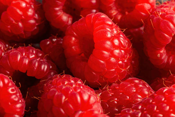 istock Fresh ripe raspberries in a close-up macro shot 2204665054