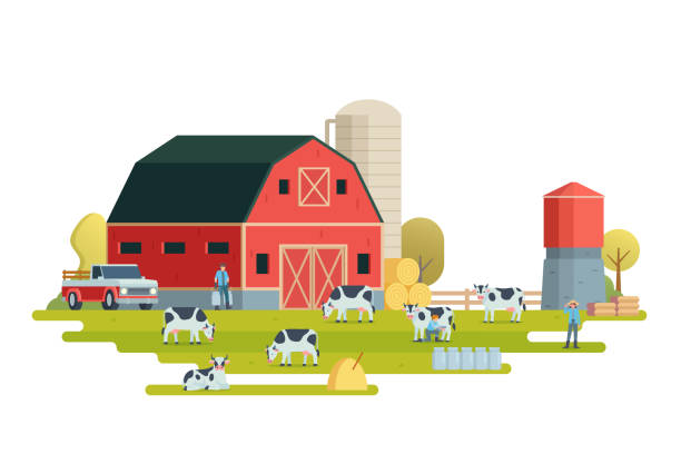 istock Farm scenery vector illustration. Livestock animal farm landscape with farm elements. 2204667672