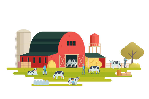 istock Farm scenery vector illustration. Livestock animal farm landscape with farm elements. 2204667780