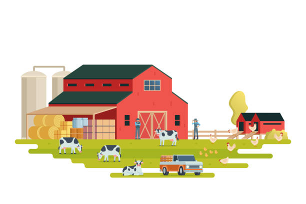 istock Farm scenery vector illustration. Livestock animal farm landscape with farm elements. 2204667781