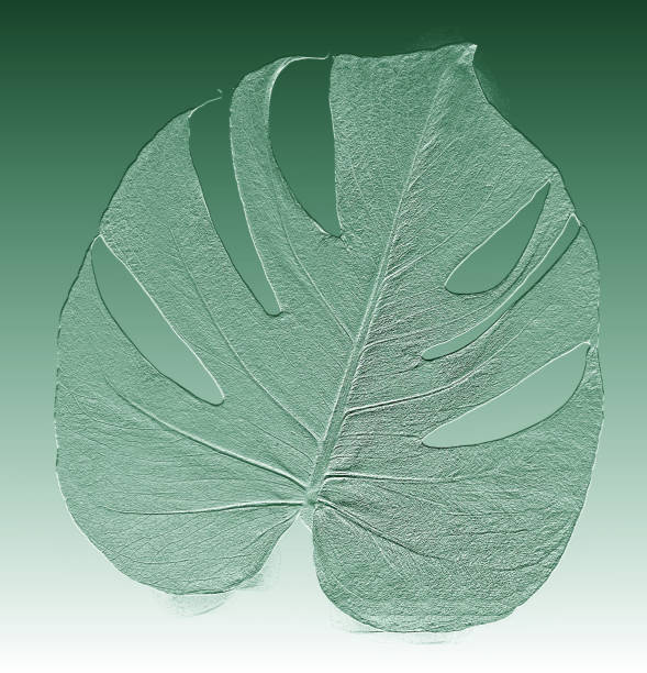 istock Background with texture of green tropical palm leaf 2204673187