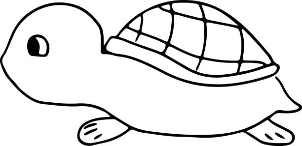 Turtle Shell Cut Out Side View 90+ Turtle Shell Side View Stock Illustrations, Royalty-Free Vector ...