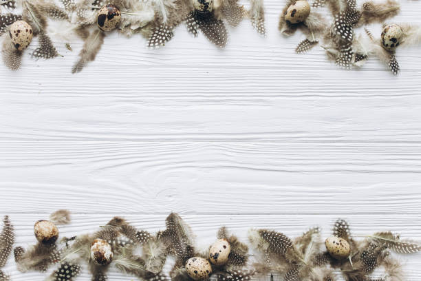 istock Quail eggs and feathers in the nest and wooden text for Happy Easter on white background. 2204675171