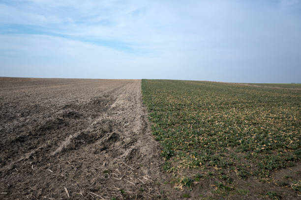 istock Landscape of rural fields, early spring. 2204678268