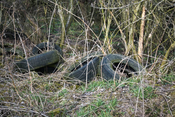 istock Old tires discarded in the forest, environmental pollution with human waste. 2204678349