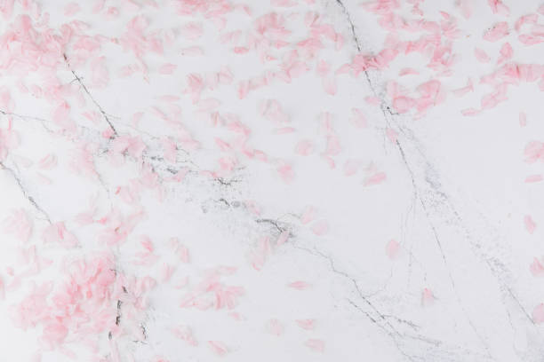 istock Spring composition. Pink petals on a trendy marble background. Flat lay, top view 2204679241