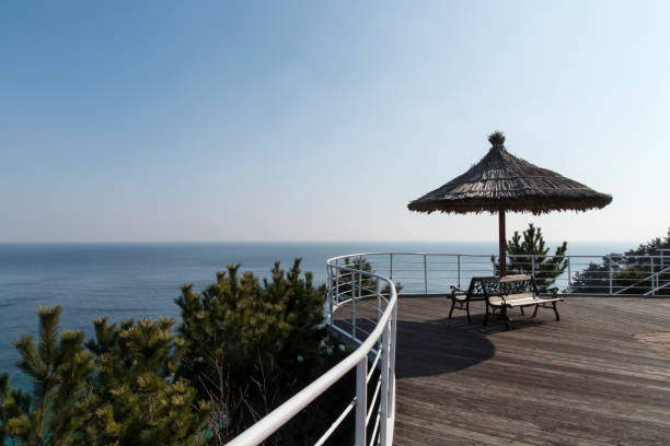 istock parasol and bench on the seaside cliff 2204690239