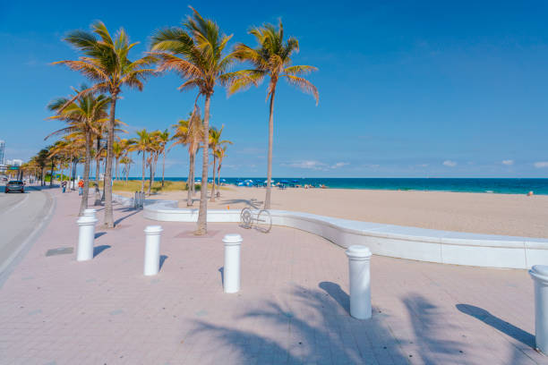 istock White wavy divider in Fort Lauderdale, Fl, US 2204695122
