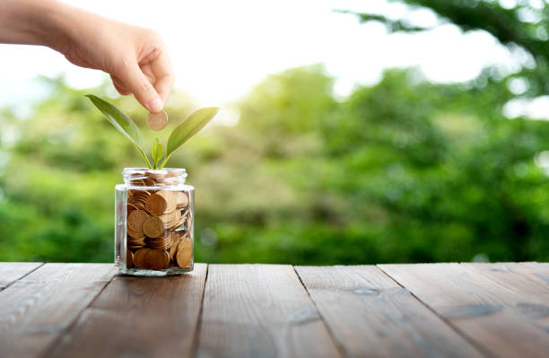 istock Young plant growing from coin jar 2204697964