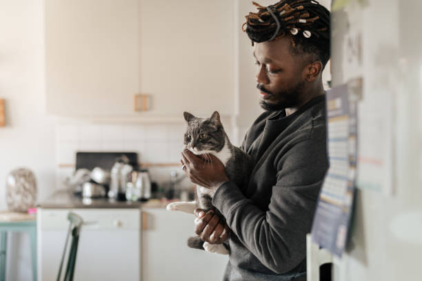 istock Man holding cat in modern kitchen interior with warm natural light 2204700913