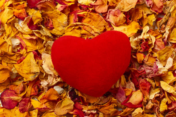 istock A fabric red heart on a flower potpourri background 2204700954