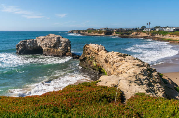 istock Natural Bridges State Beach on a Clear Day 2204702909