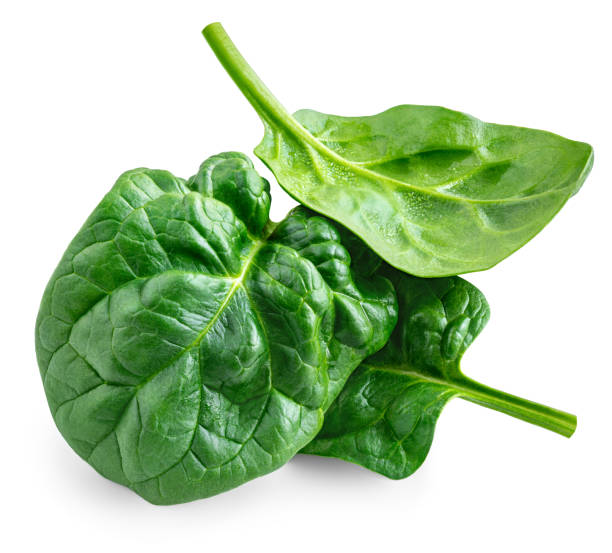 istock Spinach leaves isolated on white background. Baby Spinach leaf Flat lay. Top view.  Espinach leaves 2204703401