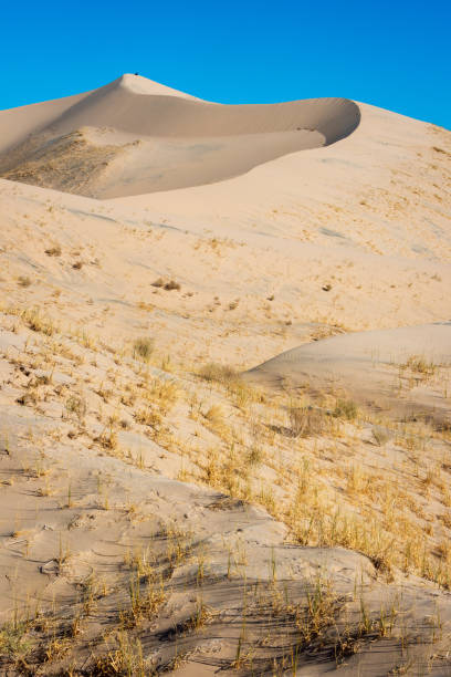 istock Arid Desert Dunes at Mojave National Preserve 2204705026