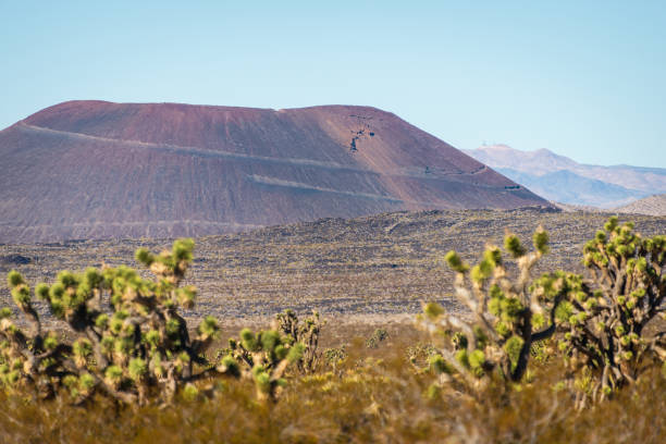 Mojave National Preserve in California on a Clear Summer Day