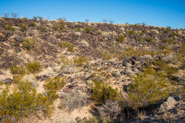 istock Brushlands Along Trail at Mojave National Preserve 2204705122