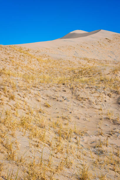 Mojave National Preserve in California on a Clear Summer Day