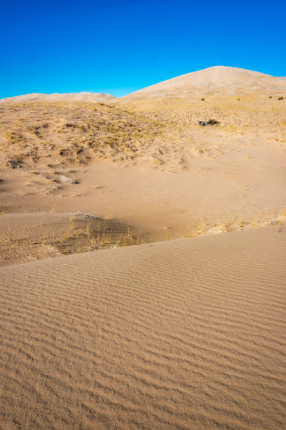 istock Arid Desert Dunes at Mojave National Preserve 2204706200