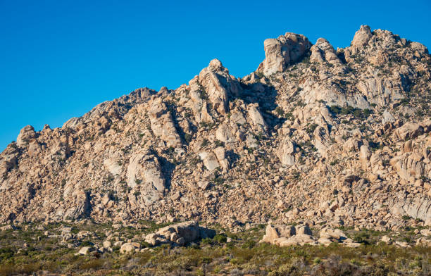 Mojave National Preserve in California on a Clear Summer Day