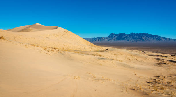 istock Arid Desert Dunes at Mojave National Preserve 2204706804