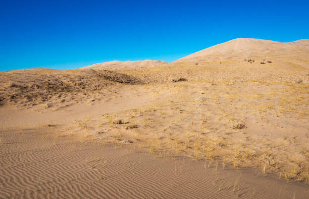 istock Arid Desert Dunes at Mojave National Preserve 2204707541