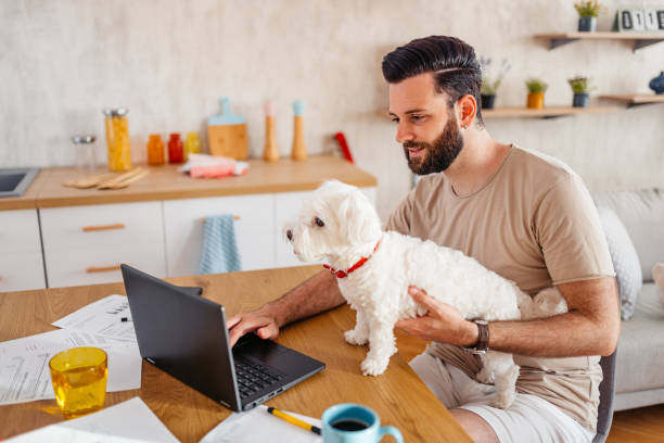 istock Young Man Working On A Laptop While Holding His Dog 2204711218
